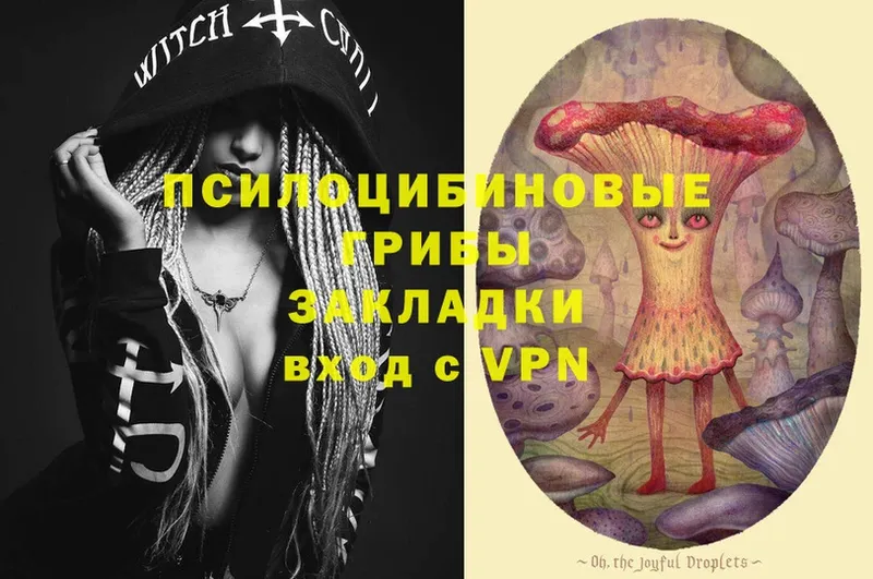 Галлюциногенные грибы Psilocybe  Раменское 